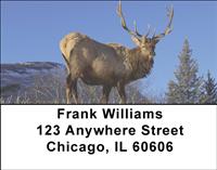Winter Elk Address Labels