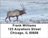 Winter Elk Address Labels