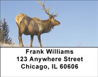 Winter Elk Address Labels