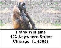 Gorilla Mother And Child Address Labels