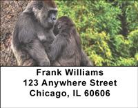 Gorilla Mother And Child Address Labels