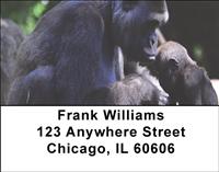 Gorilla Mother And Child Address Labels
