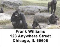 Gorilla Families Address Labels