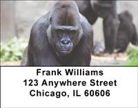 Gorilla Families Address Labels