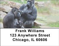 Gorilla Families Address Labels