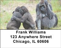 Gorilla Families Address Labels