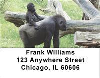 Tender Gorillas Address Labels