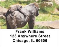 Tender Gorillas Address Labels