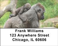 Tender Gorillas Address Labels
