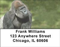 Majestic Gorillas Address Labels