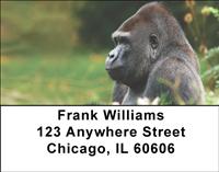 Majestic Gorillas Address Labels