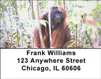 Orangutan In The Wild Address Labels