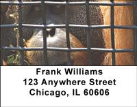 Captive Orangutan Address Labels