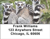 Ring-tailed Lemur Family Address Labels