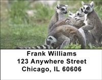 Ring-tailed Lemur Family Address Labels
