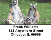 Ring-tailed Lemur Family Address Labels