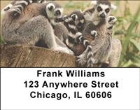 Ring-tailed Lemur Family Address Labels