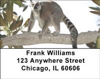 Perching Lemurs Address Labels