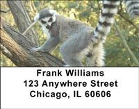 Perching Lemurs Address Labels