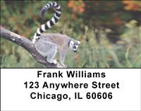 Perching Lemurs Address Labels