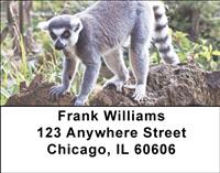 Perching Lemurs Address Labels