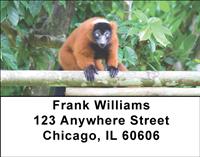 Red Ruffed Lemur Address Labels