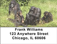 Chimpanzee Family Address Labels