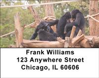 Chimpanzee Family Address Labels