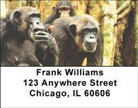 Chimpanzee Family Address Labels