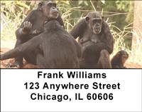 Chimpanzee Family Address Labels