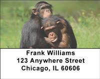 Chimp Couple Address Labels