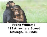 Chimp Couple Address Labels