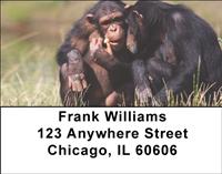 Chimp Couple Address Labels