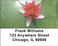 Lotus Pond Address Labels