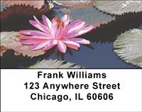 Lotus Pond Address Labels