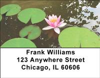 Lotus Pond Address Labels