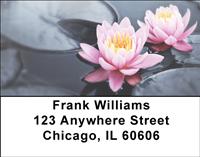 Lotus Pond Address Labels