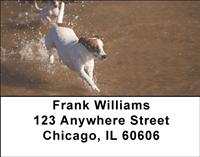 Playful Jack Russells Address Labels