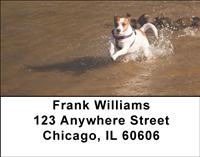Playful Jack Russells Address Labels