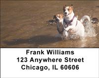 Playful Jack Russells Address Labels