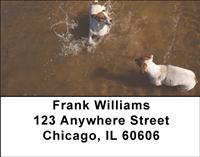 Playful Jack Russells Address Labels