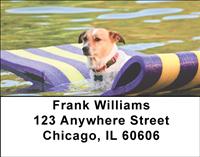 Cute Jack Russells Address Labels