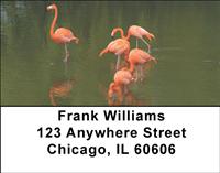 Flamingo Flurry Address Labels
