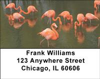 Flamingo Flurry Address Labels