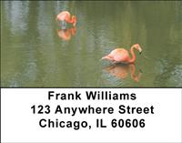 Flamingo Flurry Address Labels