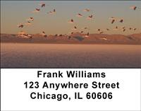 Sunset Flamingos Address Labels