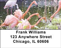 Pink Flamingos Address Labels