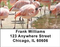 Pink Flamingos Address Labels