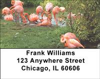 Pink Flamingos Address Labels