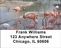 Pink Flamingos Address Labels